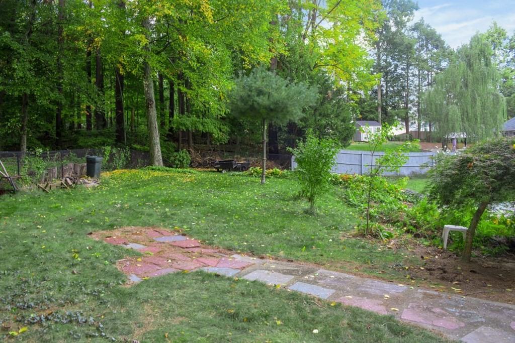 493 Forest Hills Road Springfield, MA 01128 - Photo 9 of 35