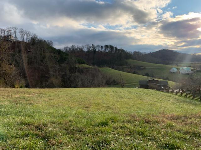 357 R Larayne Hollow Road Sharps Chapel, TN 37866 - Photo 2 of 13 357R 1