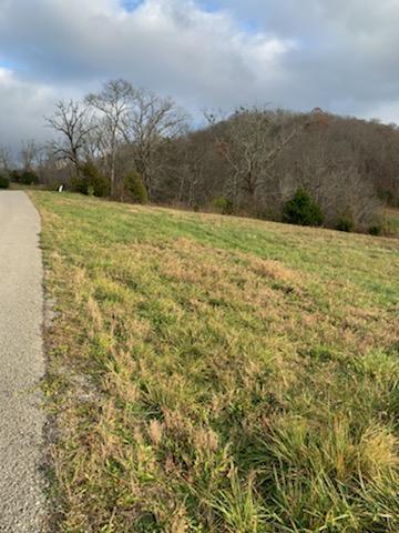 357 R Larayne Hollow Road Sharps Chapel, TN 37866 - Photo 3 of 13 357R