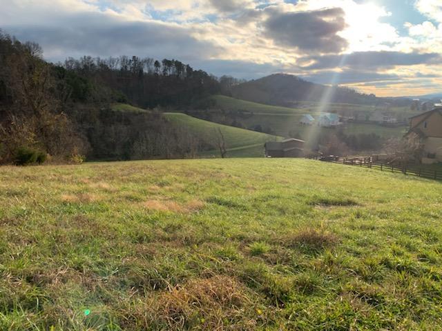 357 R Larayne Hollow Road Sharps Chapel, TN 37866 - Photo 4 of 13 357R