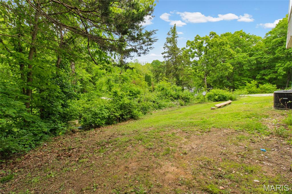 3416 Hodge Road De Soto, MO 63020 - Photo 13 of 83