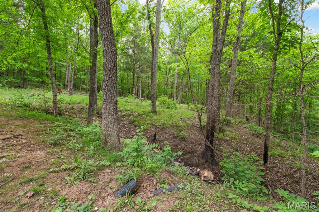 3416 Hodge Road De Soto, MO 63020 - Photo 14 of 83