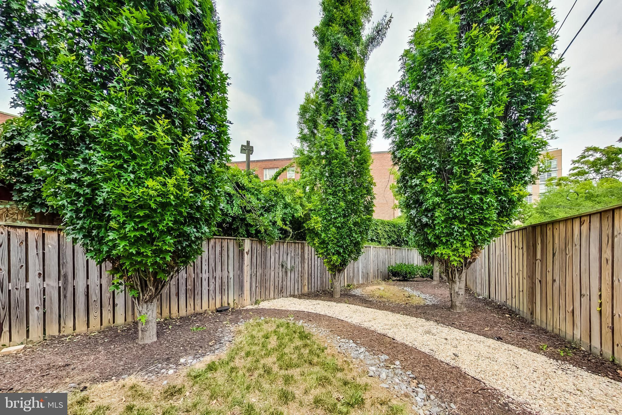 3035 15th Street Northwest, Unit 105 Washington, DC 20009 - Photo 33 of 50 Lush garden path framed by vibrant trees.