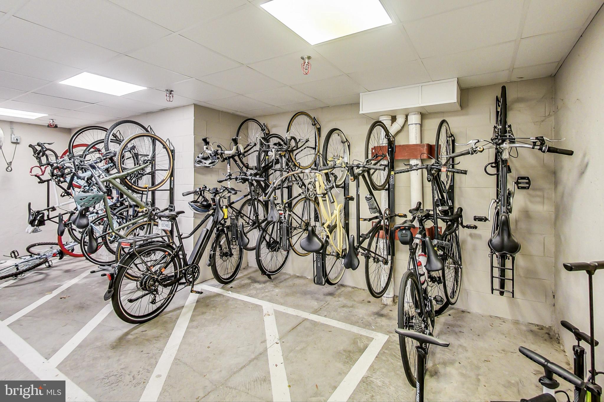 3035 15th Street Northwest, Unit 105 Washington, DC 20009 - Photo 40 of 50 Bicycle haven: a wall of cycling passion.