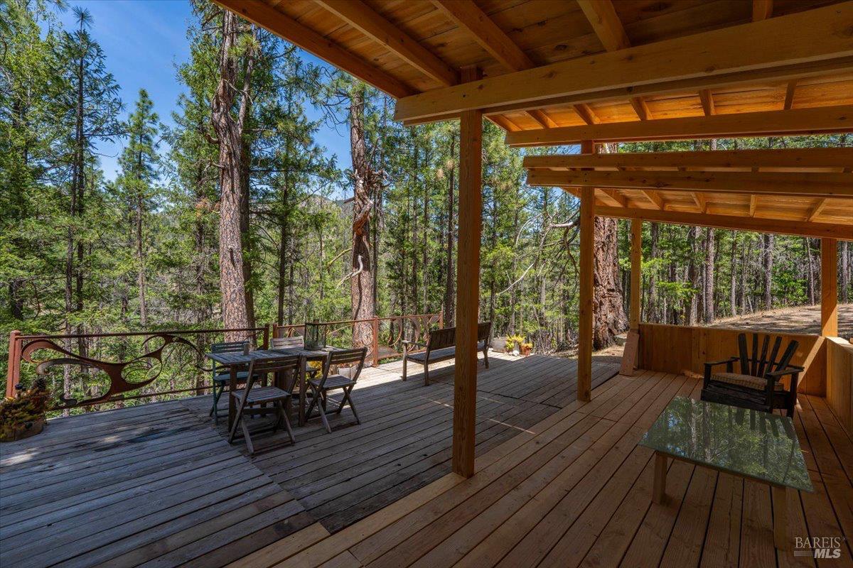 100 Blue Wolf Ranch Callahan, CA 96014 - Photo 30 of 46