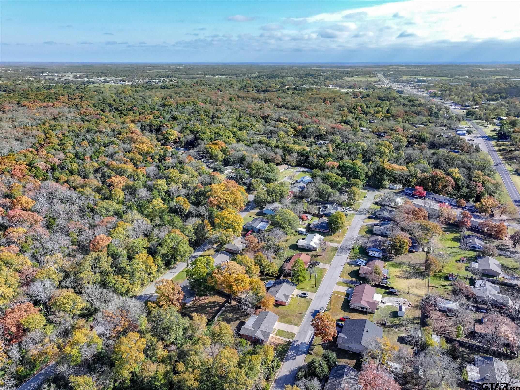 856 Ave A Canton, TX 75103 - Photo 10 of 40 an aerial view of multiple house with outdoor space