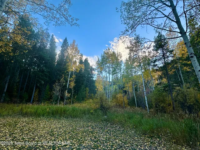 $2,100,000 | 3950 Redtop Lane, Wilson, WY 83014