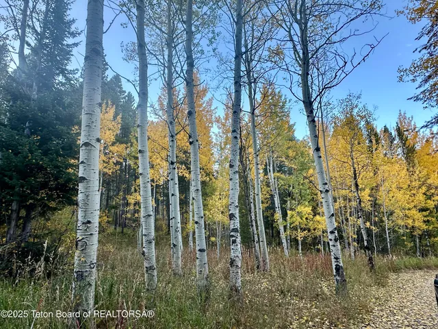 $2,100,000 | 3950 Redtop Lane, Wilson, WY 83014