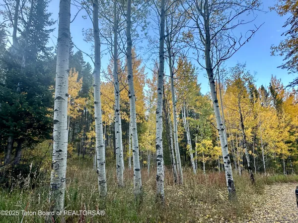 $2,100,000 | 3950 Redtop Lane, Wilson, WY 83014
