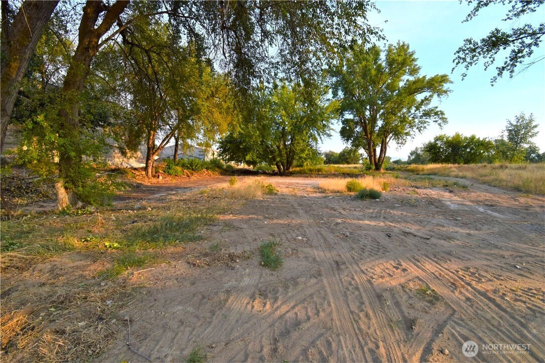 0 Asotin Street South Omak, WA 98841 - Photo 12 of 18 a view of a yard with large trees