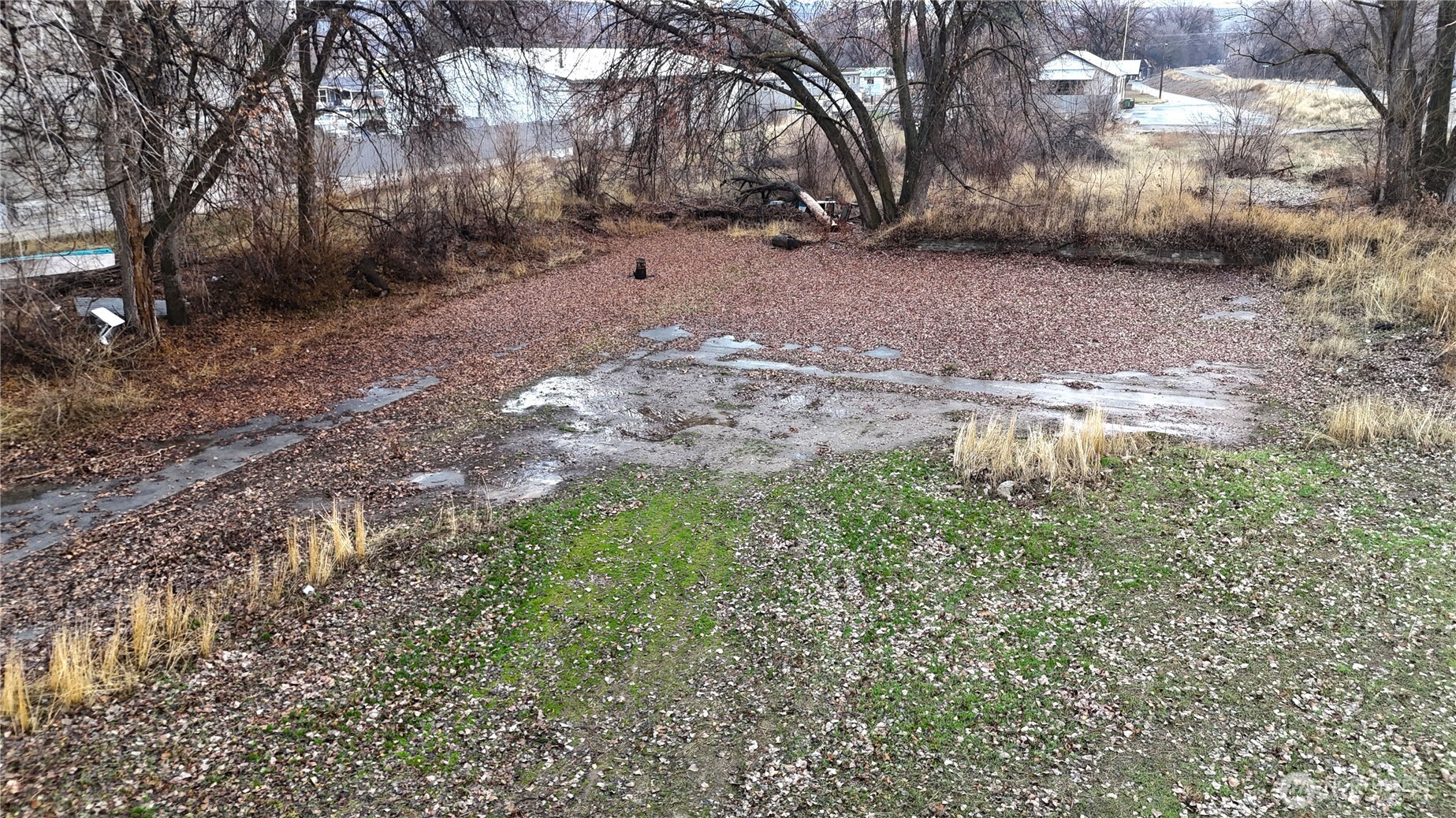 0 Asotin Street South Omak, WA 98841 - Photo 6 of 18 a view of a yard with large trees