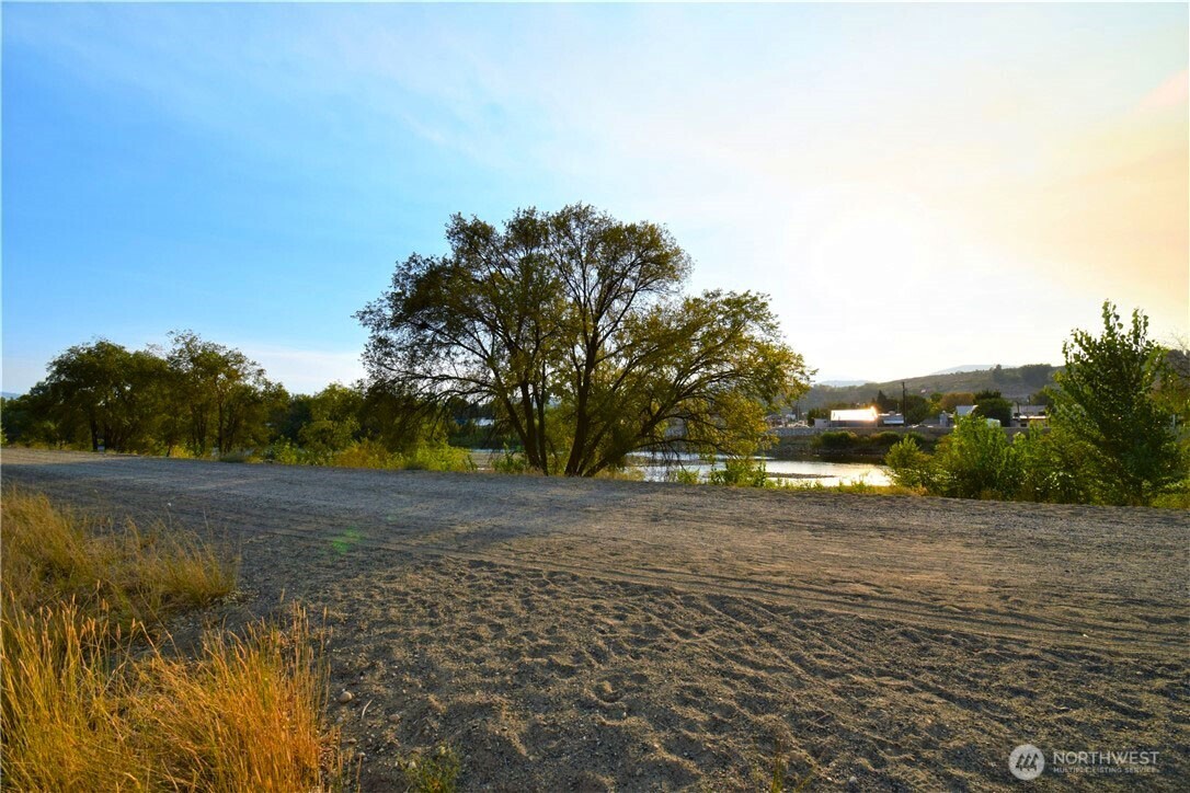 0 Asotin Street South Omak, WA 98841 - Photo 9 of 18 a view of dirt yard with large trees