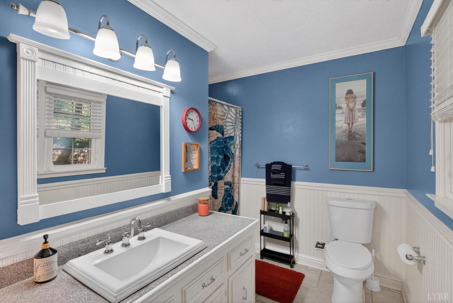 185 Clearview Circle Rustburg, VA 24588 - Photo 22 of 43 a bathroom with a toilet a sink and a mirror