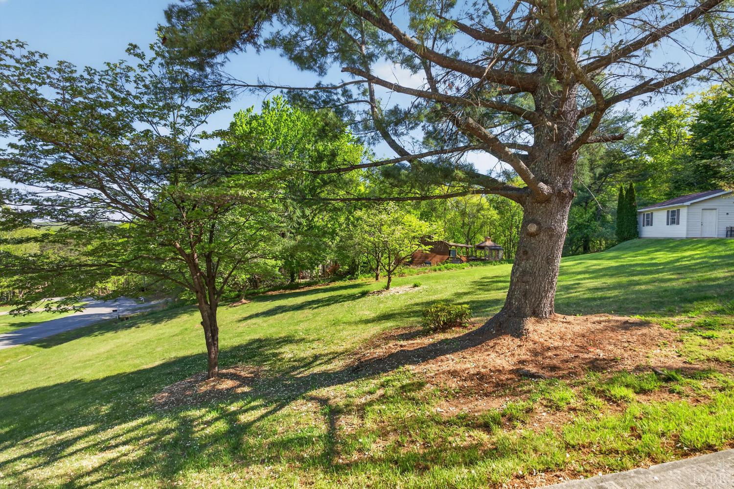 185 Clearview Circle Rustburg, VA 24588 - Photo 38 of 43 a view of a yard with plants