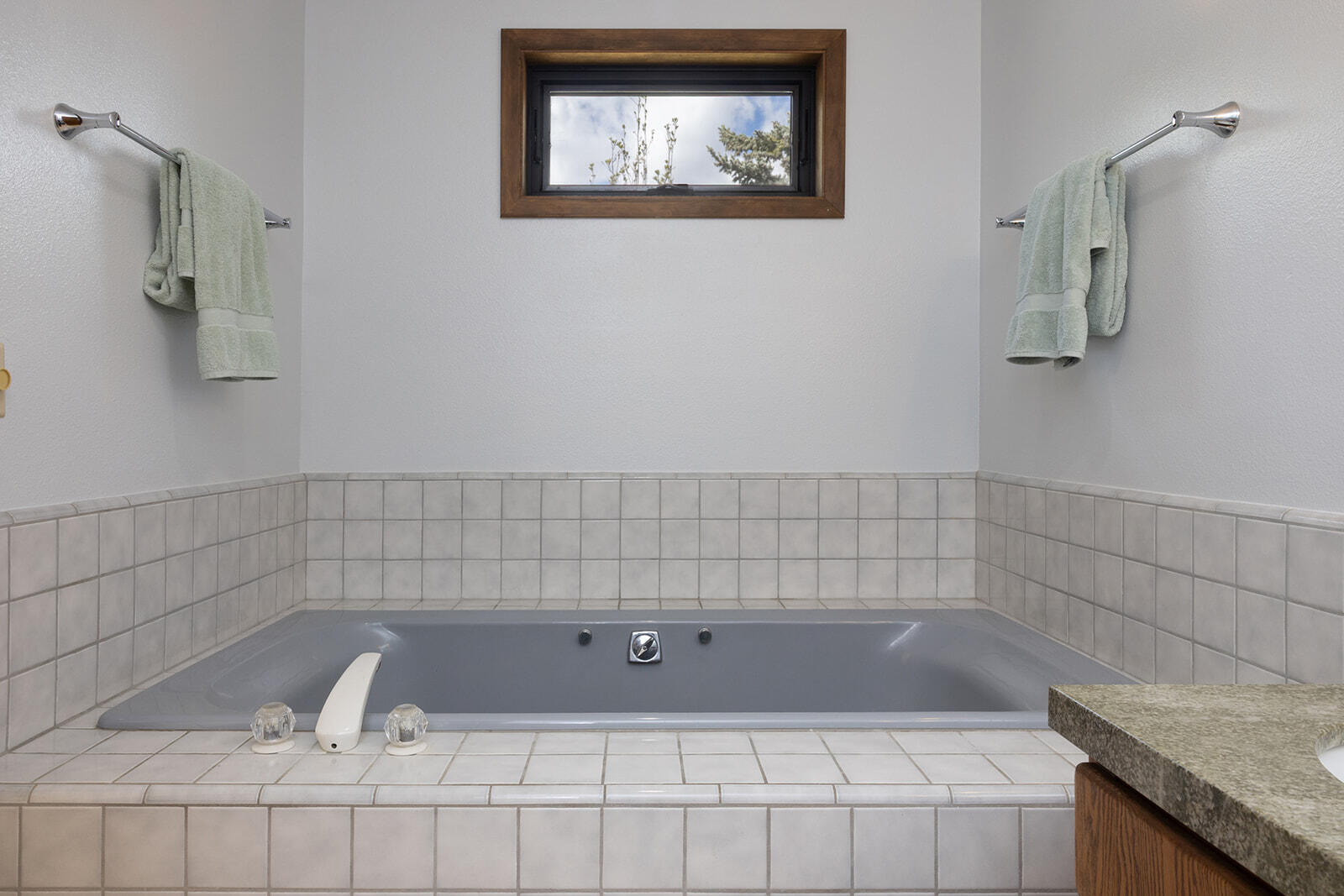 541 Shoshone Drive Hailey, ID 83333 - Photo 16 of 42 Jetted Tub (2)