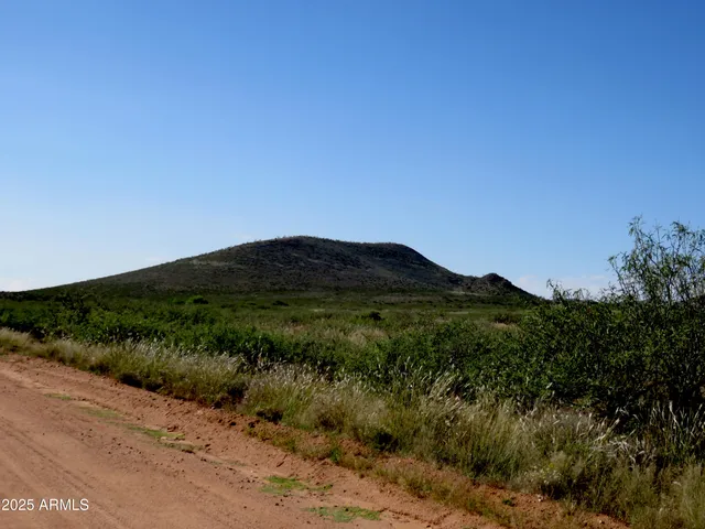 a view of a city with lush green forest