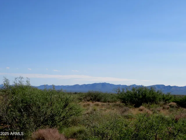 a view of a dry yard with lots of bushes