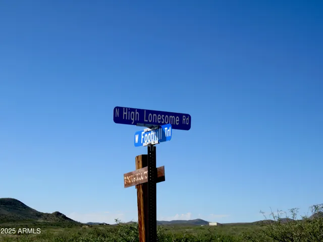 $25,973 | Tbd North High Lonesome Road, Unit 52, Elfrida, AZ 85610