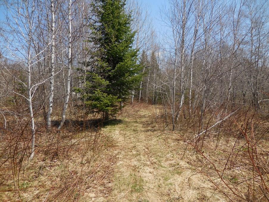 0 Coboro Road Stetson, ME 04488 - Photo 15 of 24 Photo