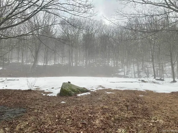 $263,350 | 804 Hearts Content Road, Cairo, NY 12473