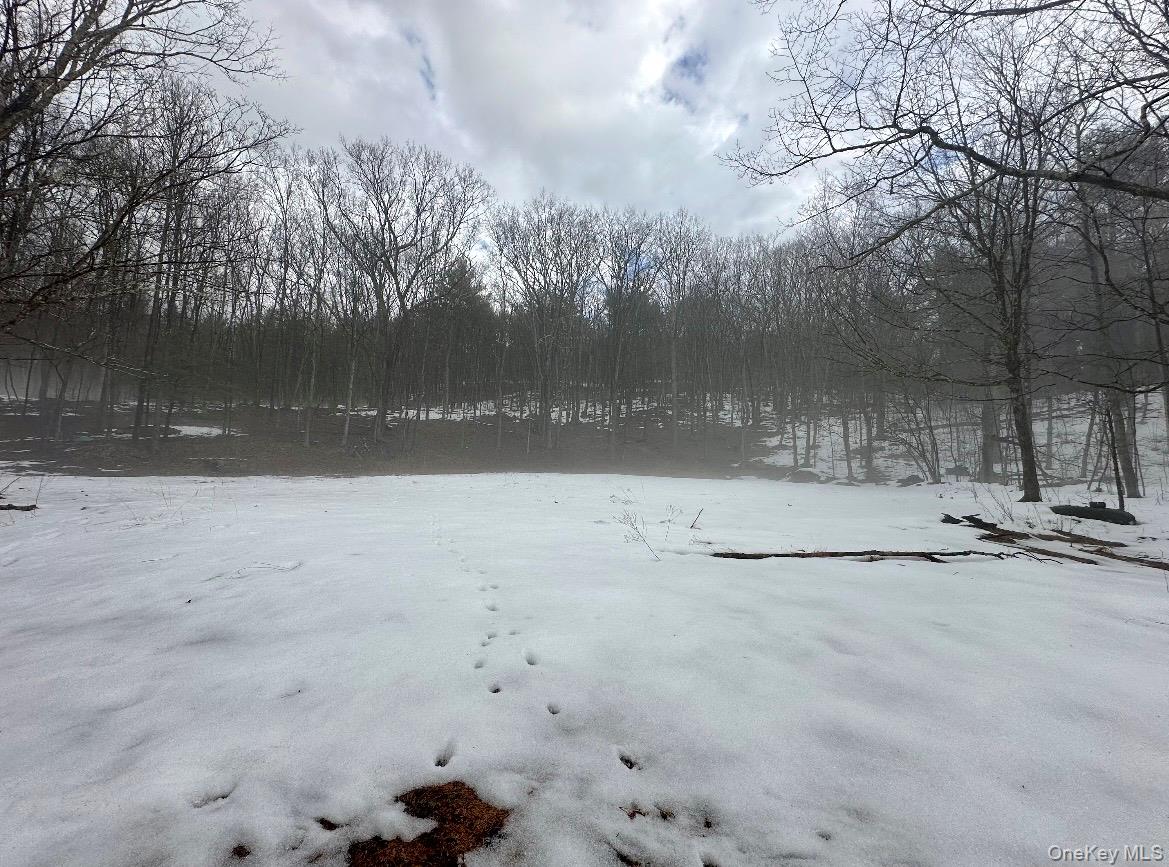 804 Hearts Content Road Cairo, NY 12473 - Photo 2 of 9