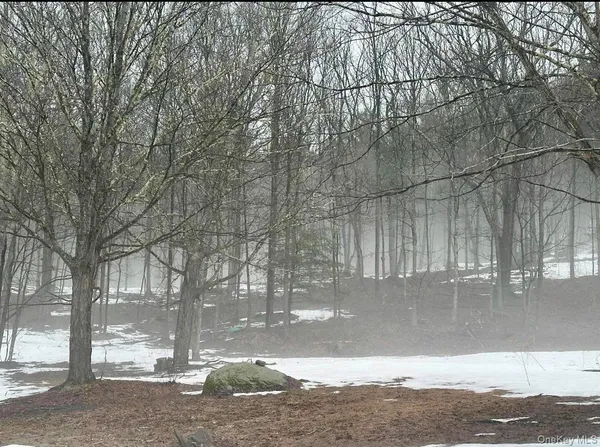 $263,350 | 804 Hearts Content Road, Cairo, NY 12473