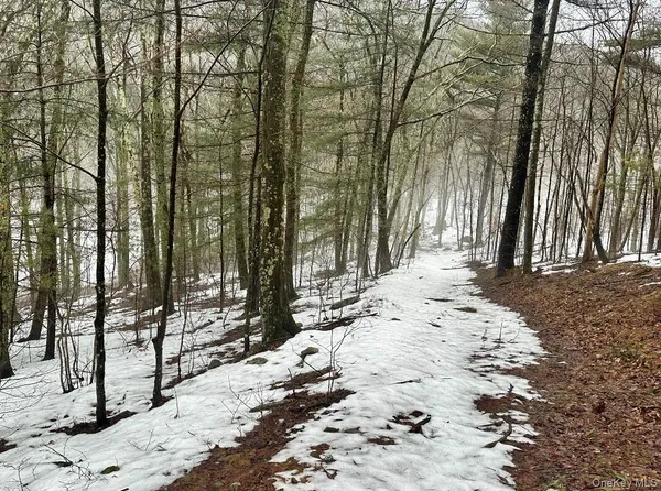 $263,350 | 804 Hearts Content Road, Cairo, NY 12473