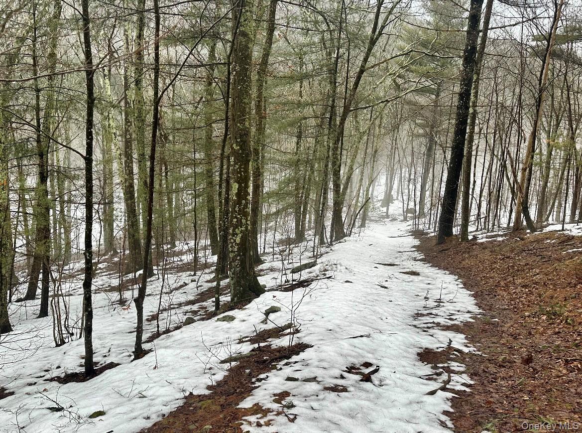 804 Hearts Content Road Cairo, NY 12473 - Photo 4 of 9