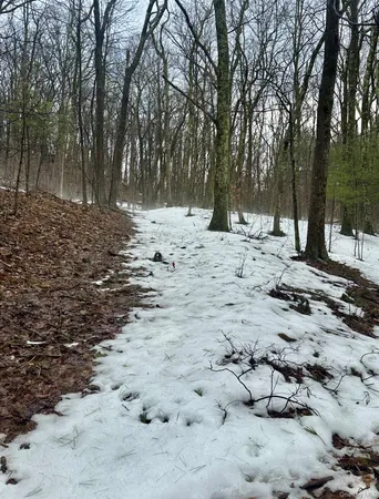 $263,350 | 804 Hearts Content Road, Cairo, NY 12473