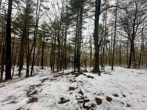 $263,350 | 804 Hearts Content Road, Cairo, NY 12473