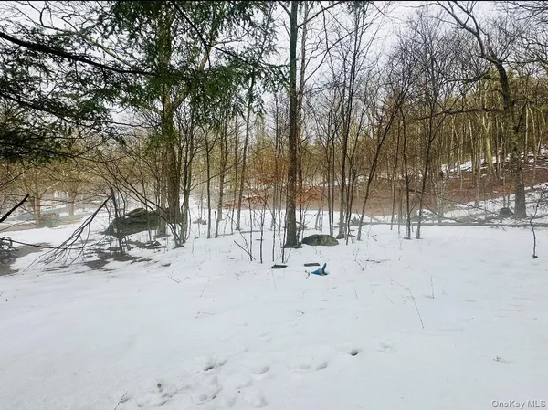 $263,350 | 804 Hearts Content Road, Cairo, NY 12473