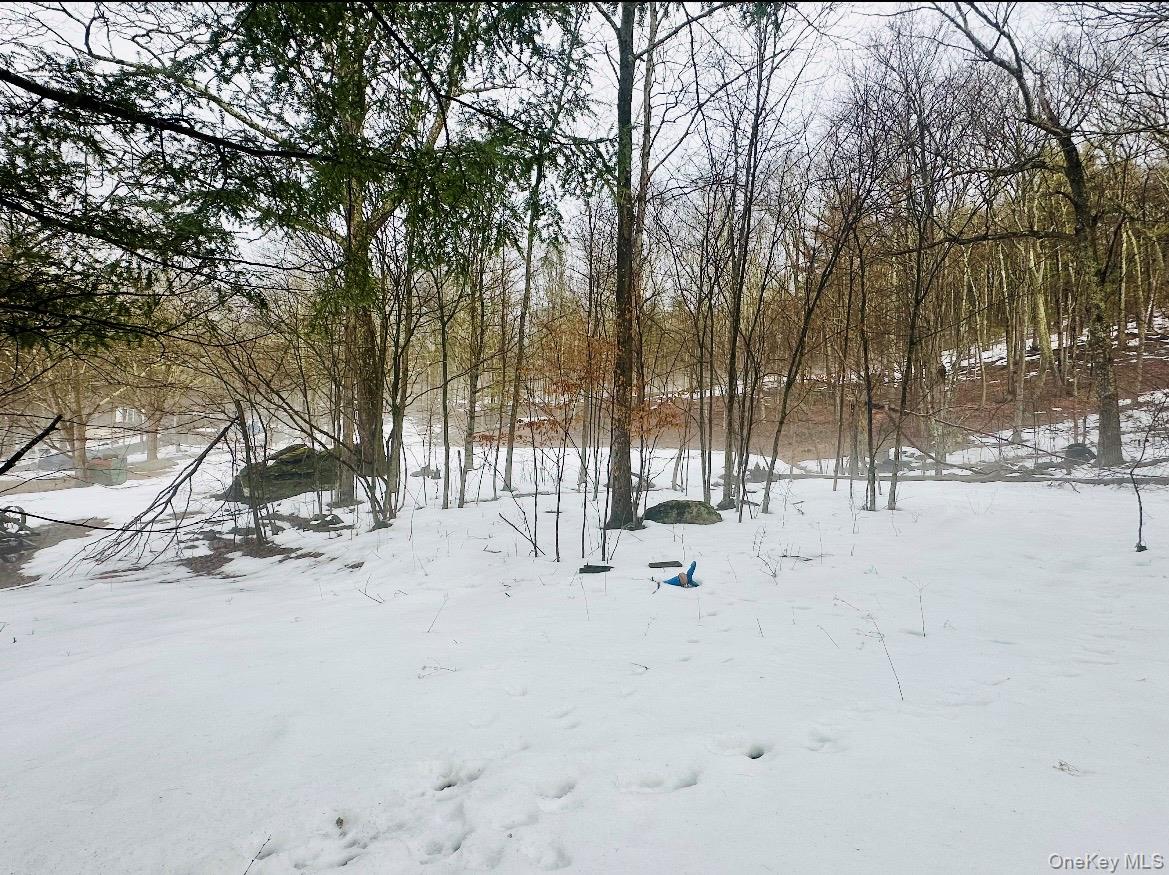 804 Hearts Content Road Cairo, NY 12473 - Photo 7 of 9