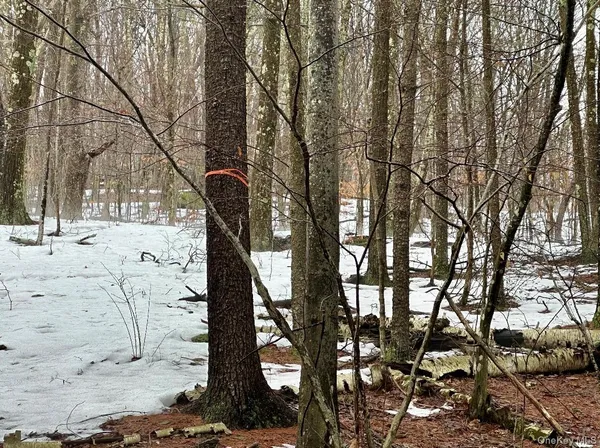 $263,350 | 804 Hearts Content Road, Cairo, NY 12473