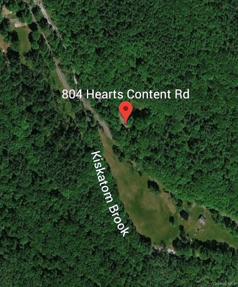 804 Hearts Content Road Cairo, NY 12473 - Photo 9 of 9