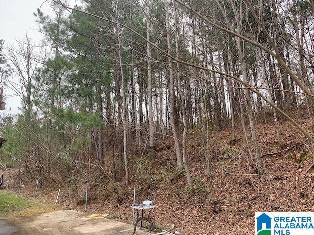 4325 McClendon Chapel Road Bessemer, AL 35022 - Photo 13 of 25
