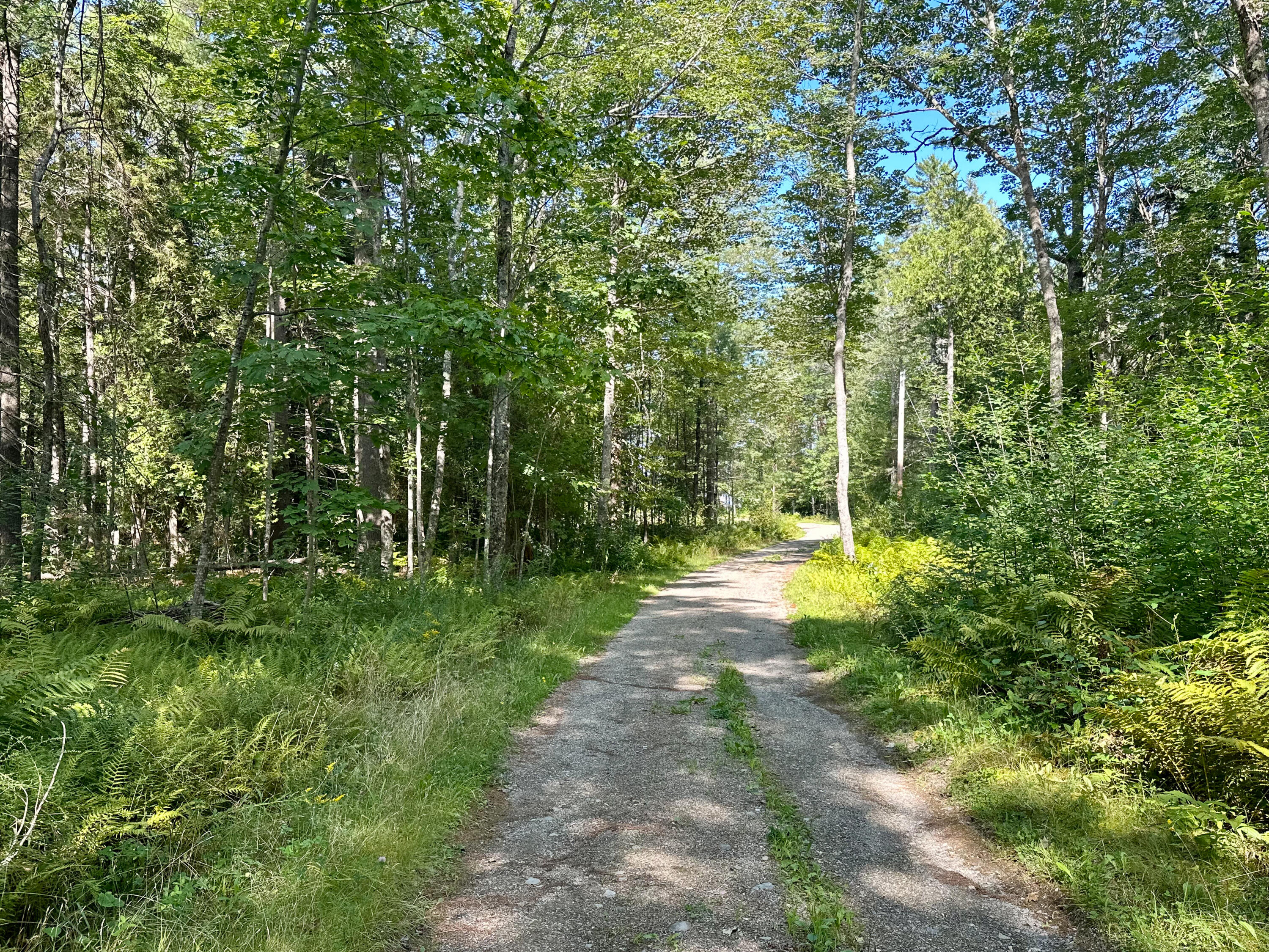 114 George Road Prospect, ME 04981 - Photo 39 of 46 Driveway