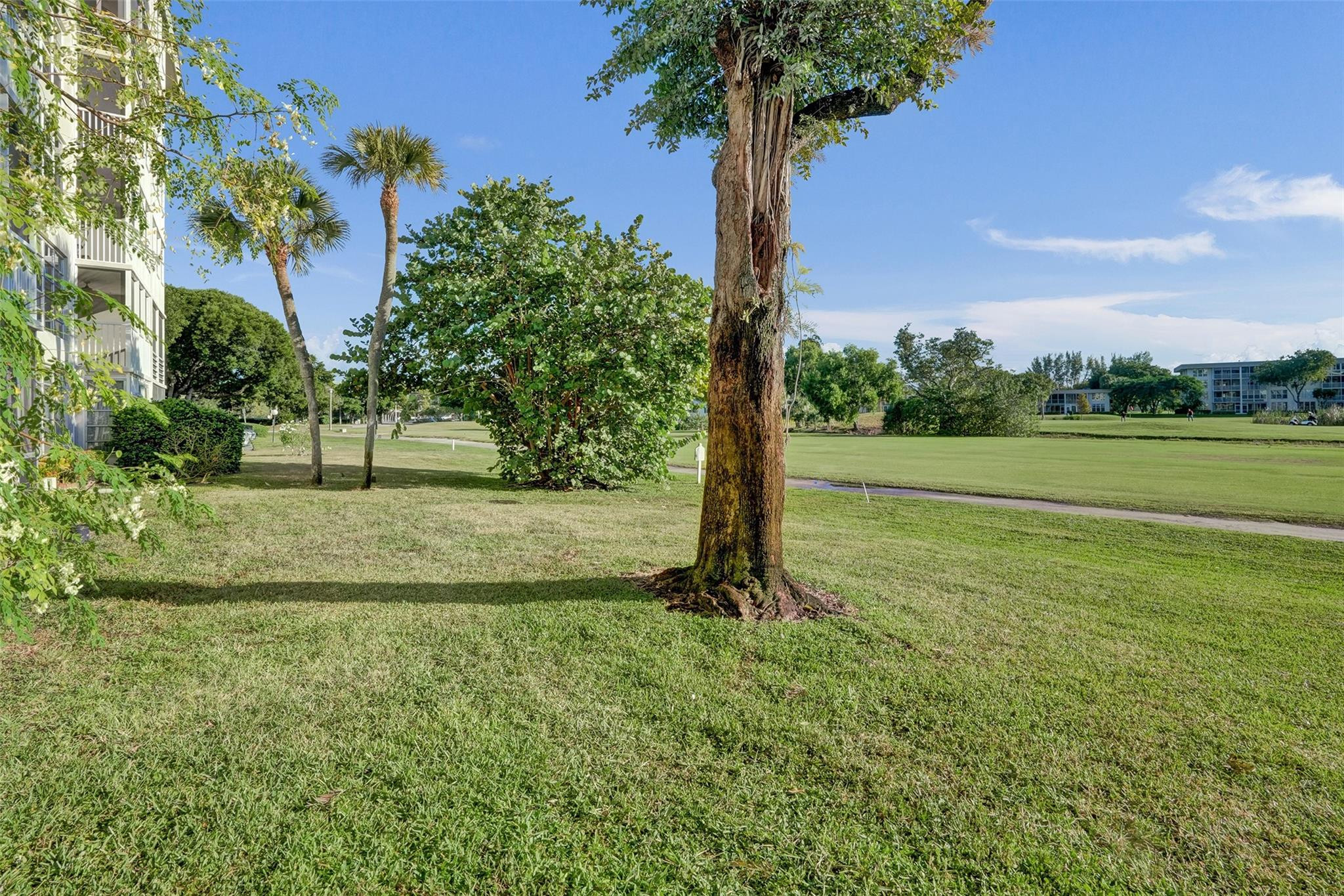 3001 South Course Drive, Unit 107 Pompano Beach, FL 33069 - Photo 44 of 47 a view of a garden with a tree