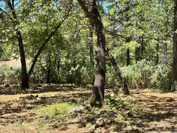 $400,000 | 404 East Summit View Dr Meadow Vista, Meadow Vista, CA 95722