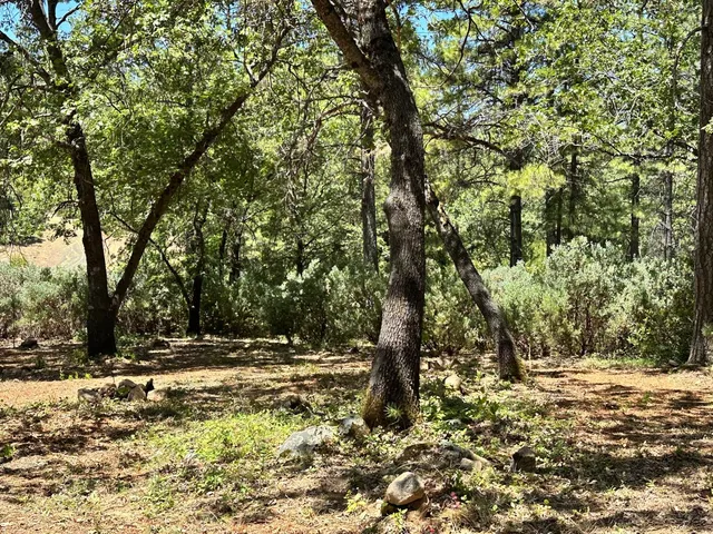 $400,000 | 404 East Summit View Dr Meadow Vista, Meadow Vista, CA 95722