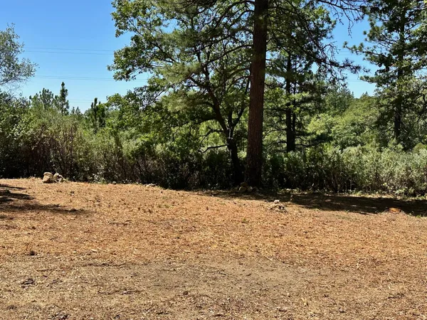 $400,000 | 404 East Summit View Dr Meadow Vista, Meadow Vista, CA 95722