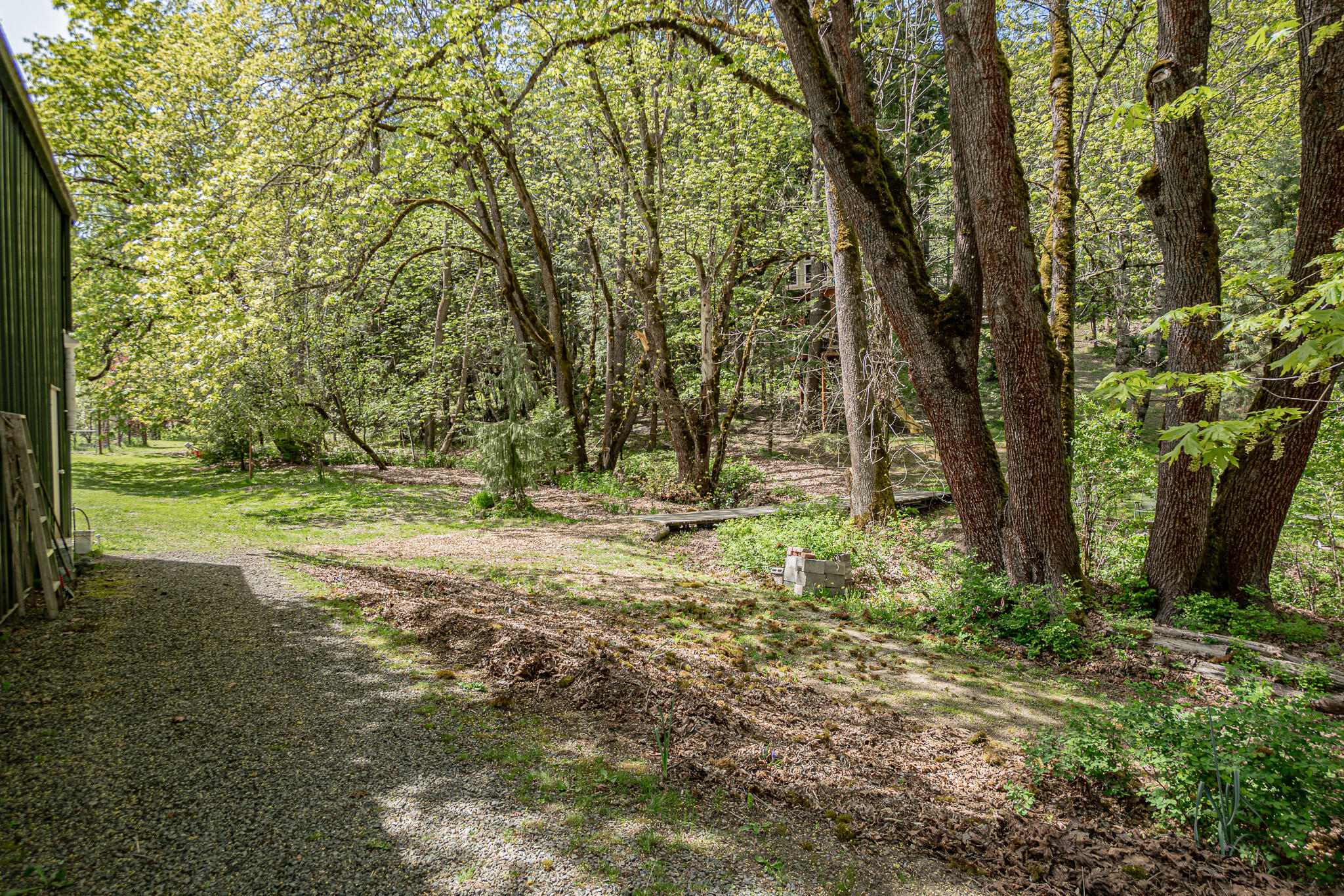 3200 Anderson Creek Road Talent, OR 97540 - Photo 51 of 69 DSC00755-HDR