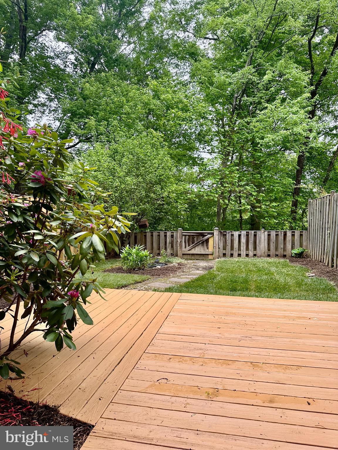 5230 Lonsdale Drive Springfield, VA 22151 - Photo 24 of 25 a view of a yard with plants and large trees
