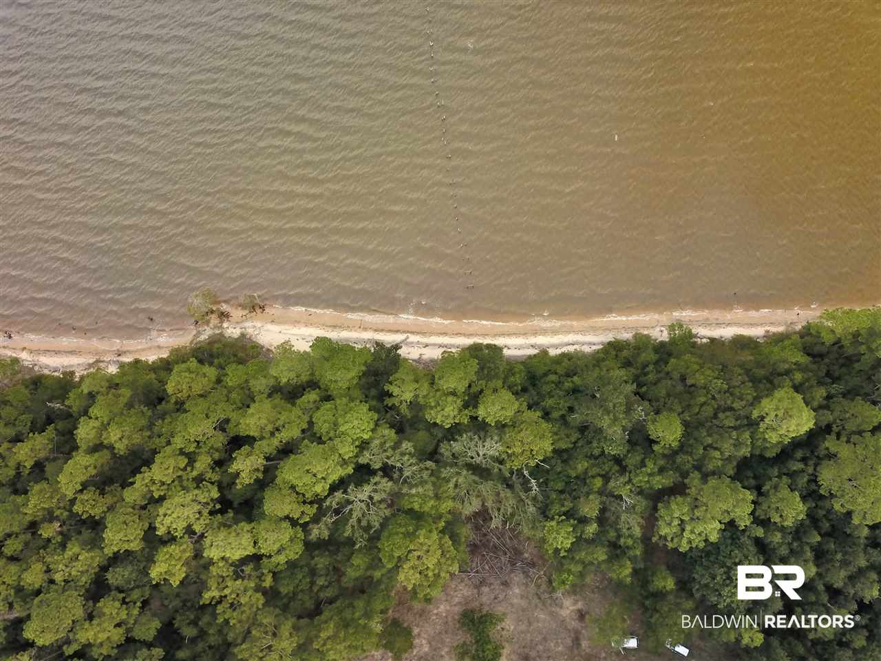 10300 County Road 99 Lillian, AL 36549 - Photo 8 of 14