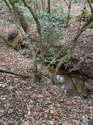 a view of a lake with lots of trees