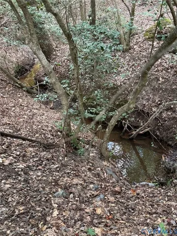 a view of a lake with lots of trees
