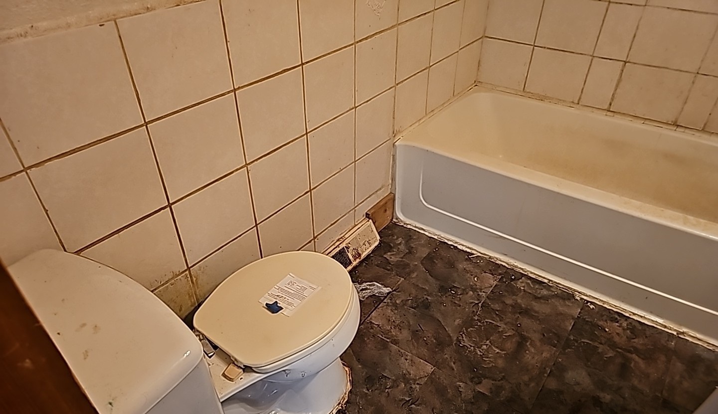 347 Ridge Street Braidwood, IL 60408 - Photo 16 of 19 a bathroom with a sink and a mirror
