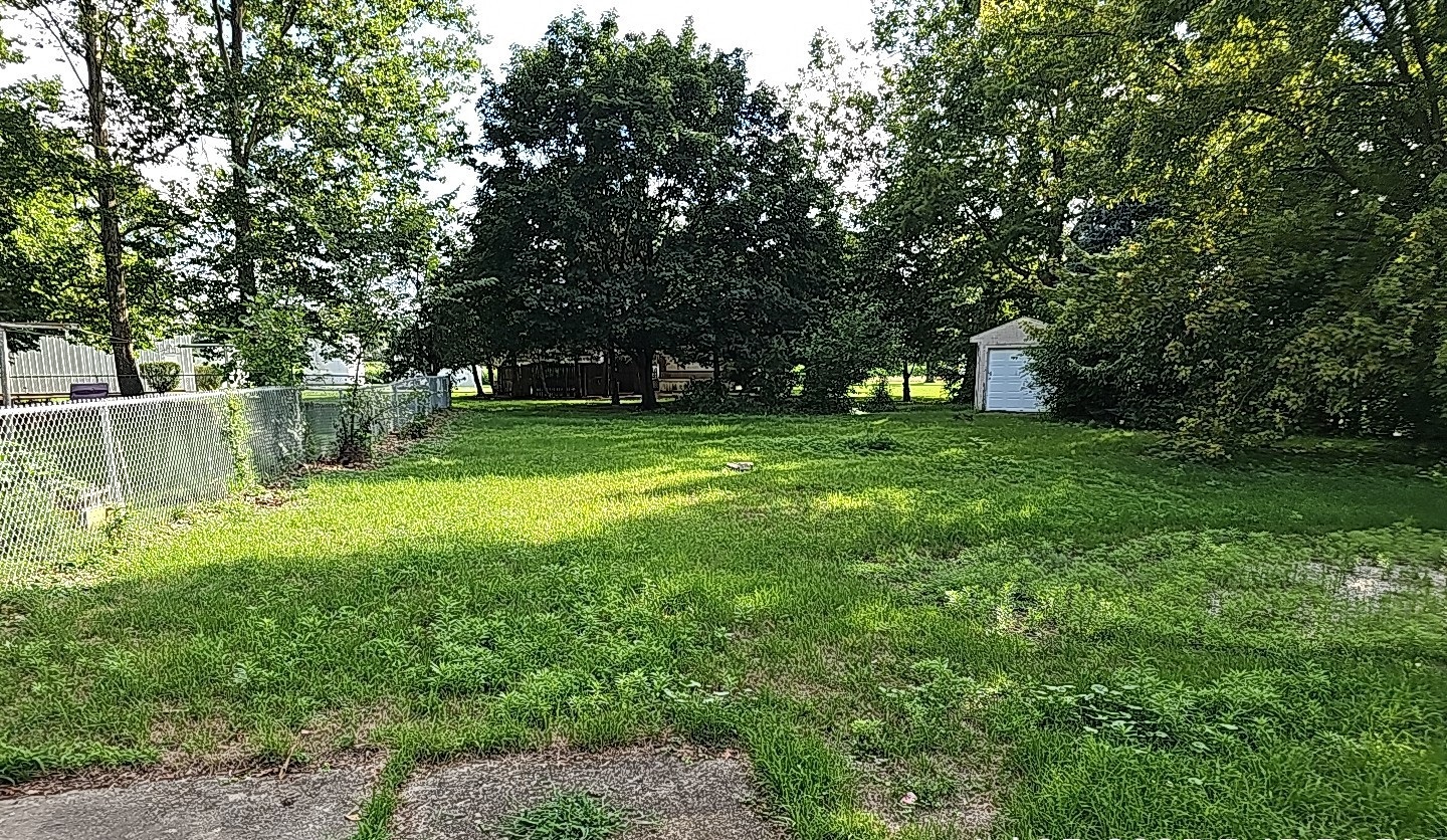 347 Ridge Street Braidwood, IL 60408 - Photo 3 of 19 a view of a garden with a tree