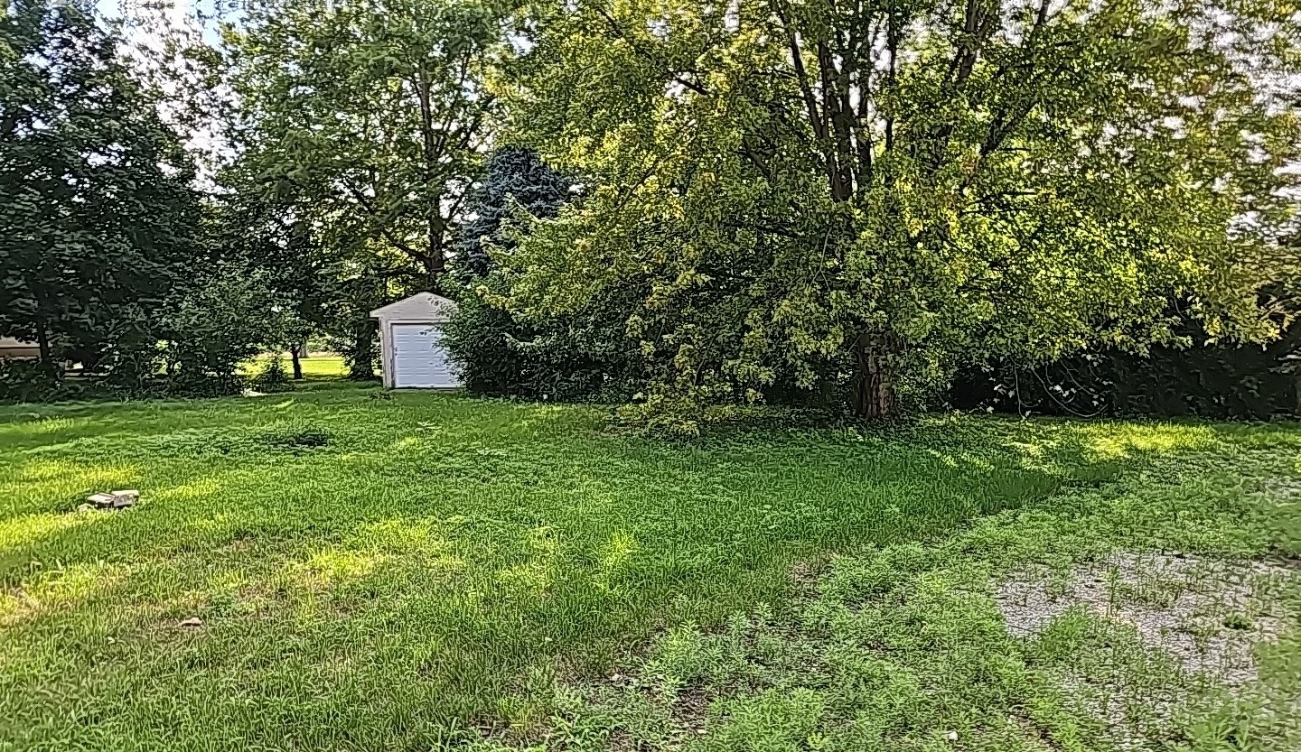 347 Ridge Street Braidwood, IL 60408 - Photo 4 of 19 a view of a big yard with large trees