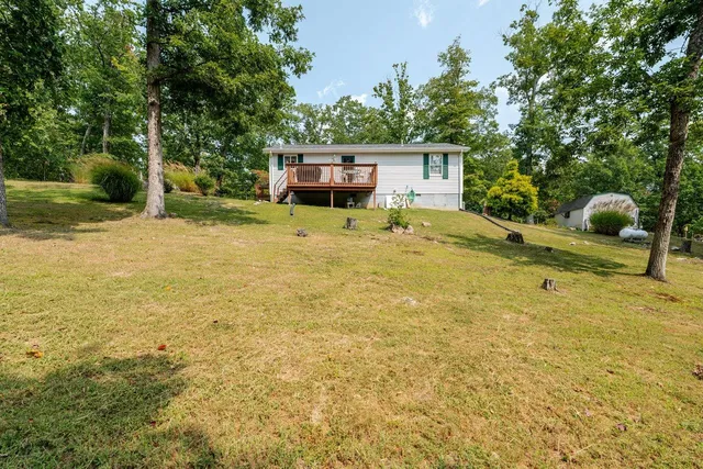 a view of a house with backyard and a tree