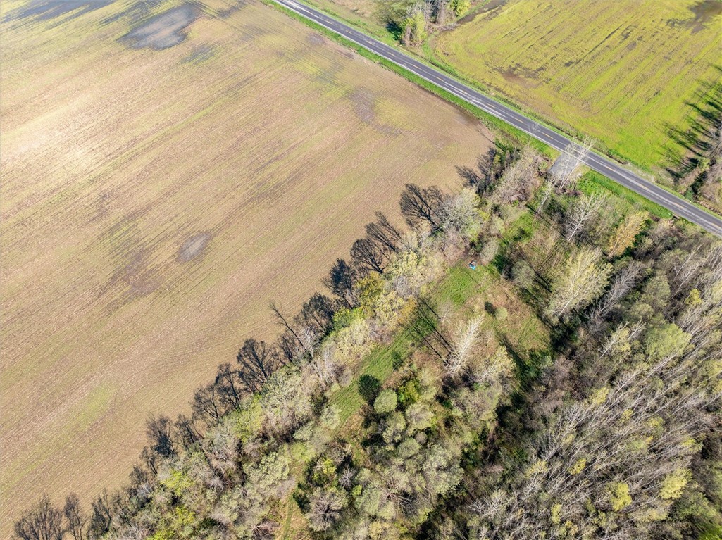 16126 Telegraph Road Murray, NY 14470 - Photo 10 of 50
